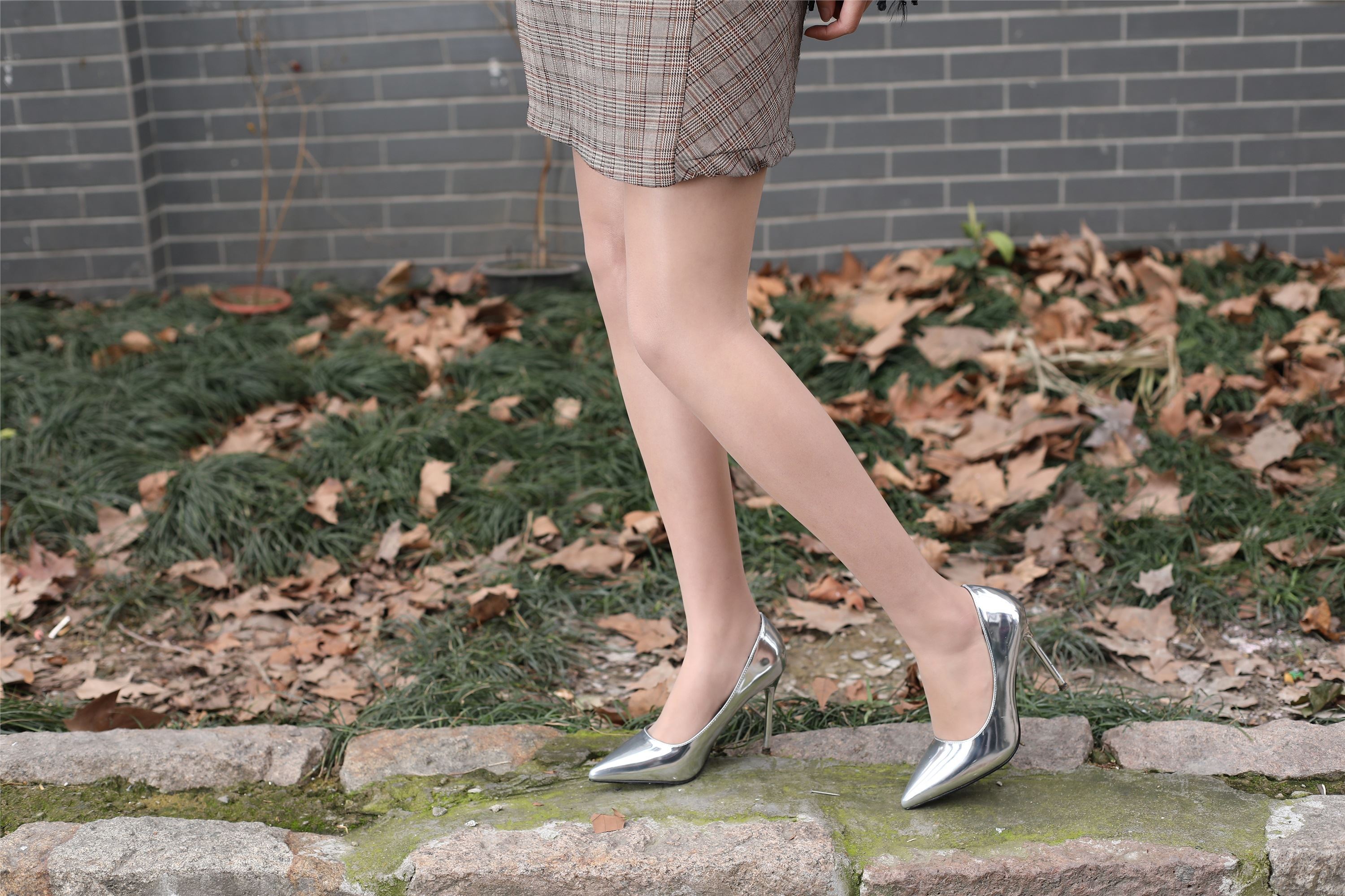 奈丝写真 NO.035 毛毛-这条ga最靓的崽